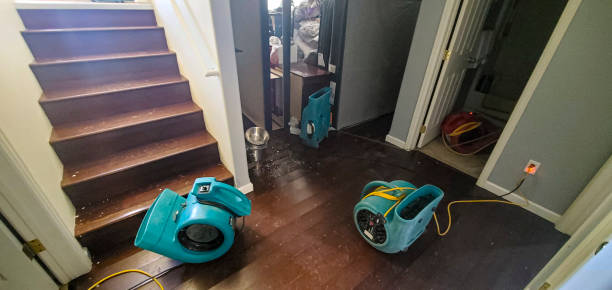 Best 24-hour water damage restoration  in East Basin, UT