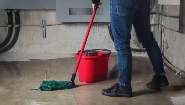 Best Water damage restoration near me  in East Basin, UT