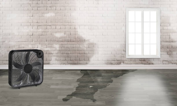 Best Ceiling water damage repair  in East Basin, UT
