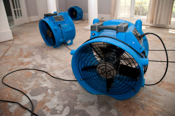 Best Basement water damage restoration  in East Basin, UT