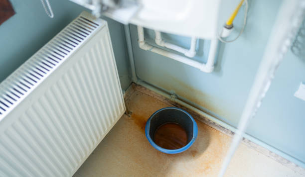 Best Professional water damage repair  in East Basin, UT