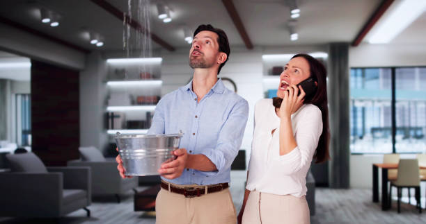  East Basin, UT Water damage restoration Pros