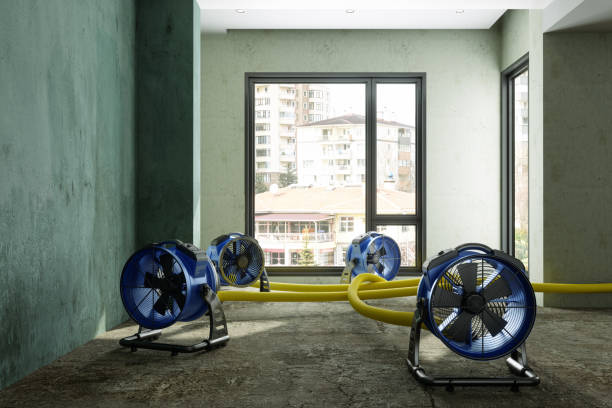 Best Sewage cleanup and water damage restoration  in East Basin, UT